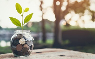 Jar full of coins with a small plant growing out of it