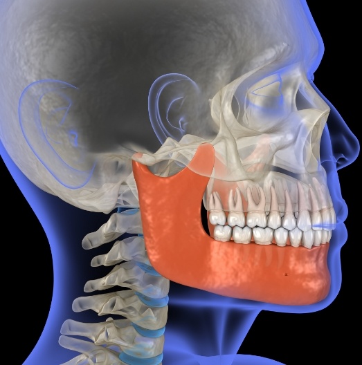 Animated side profile of head with jawbone in red